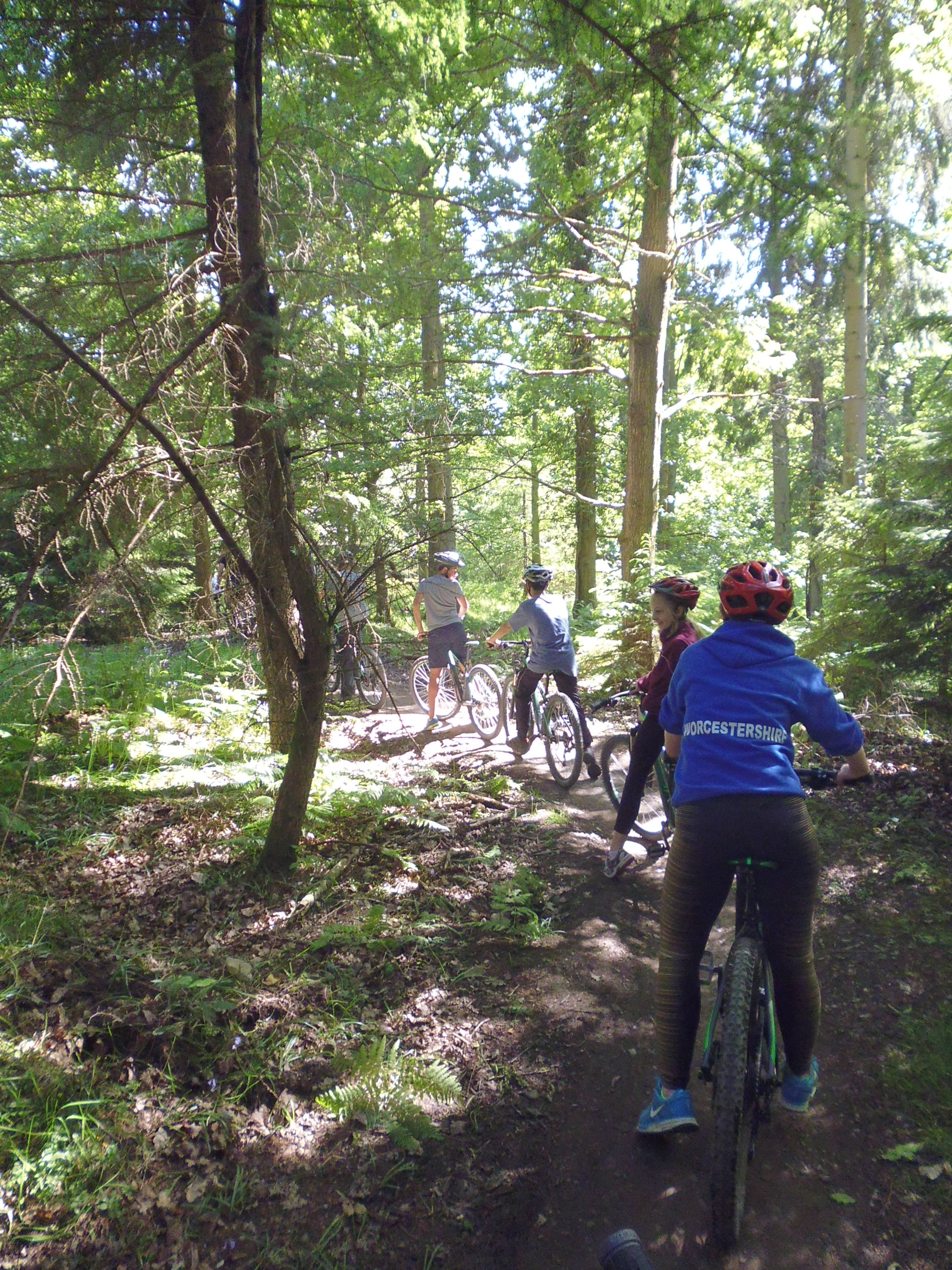 Lower Fourth Camp, June 2015